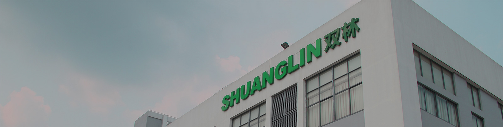 壹定发集团站群